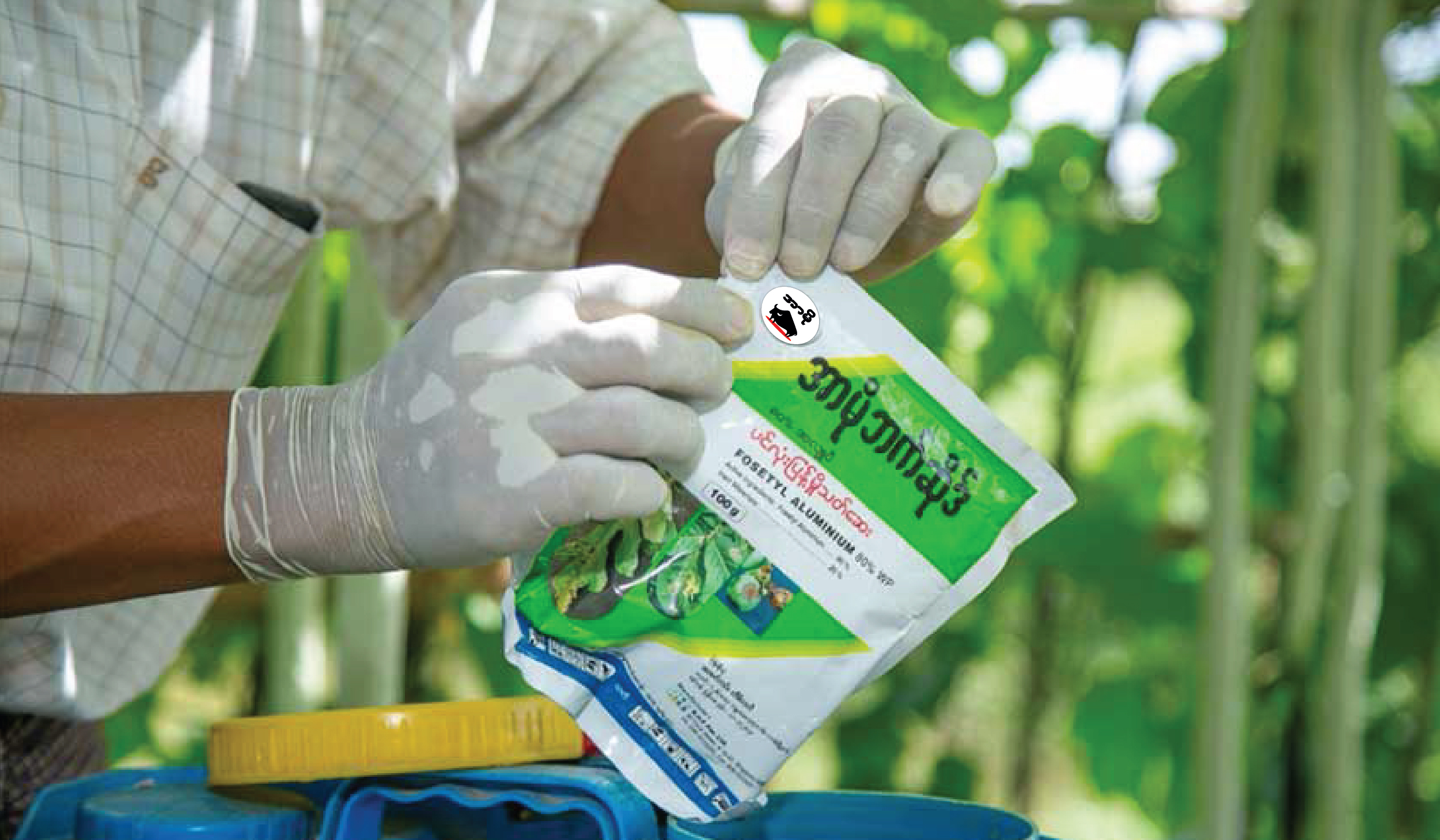 Agri Inputs Marketing