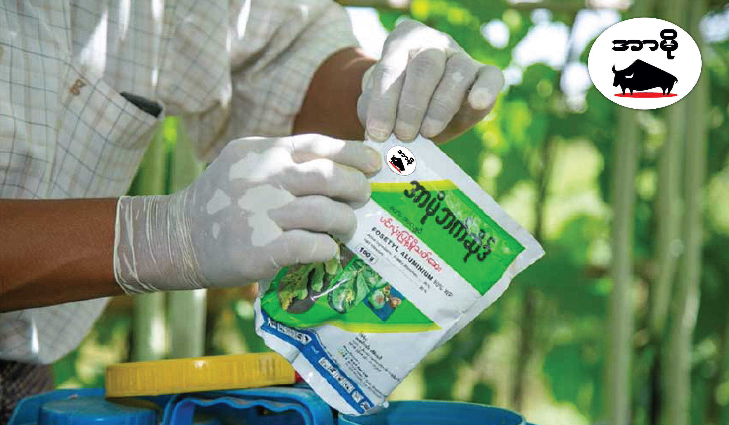 Agri Inputs Marketing