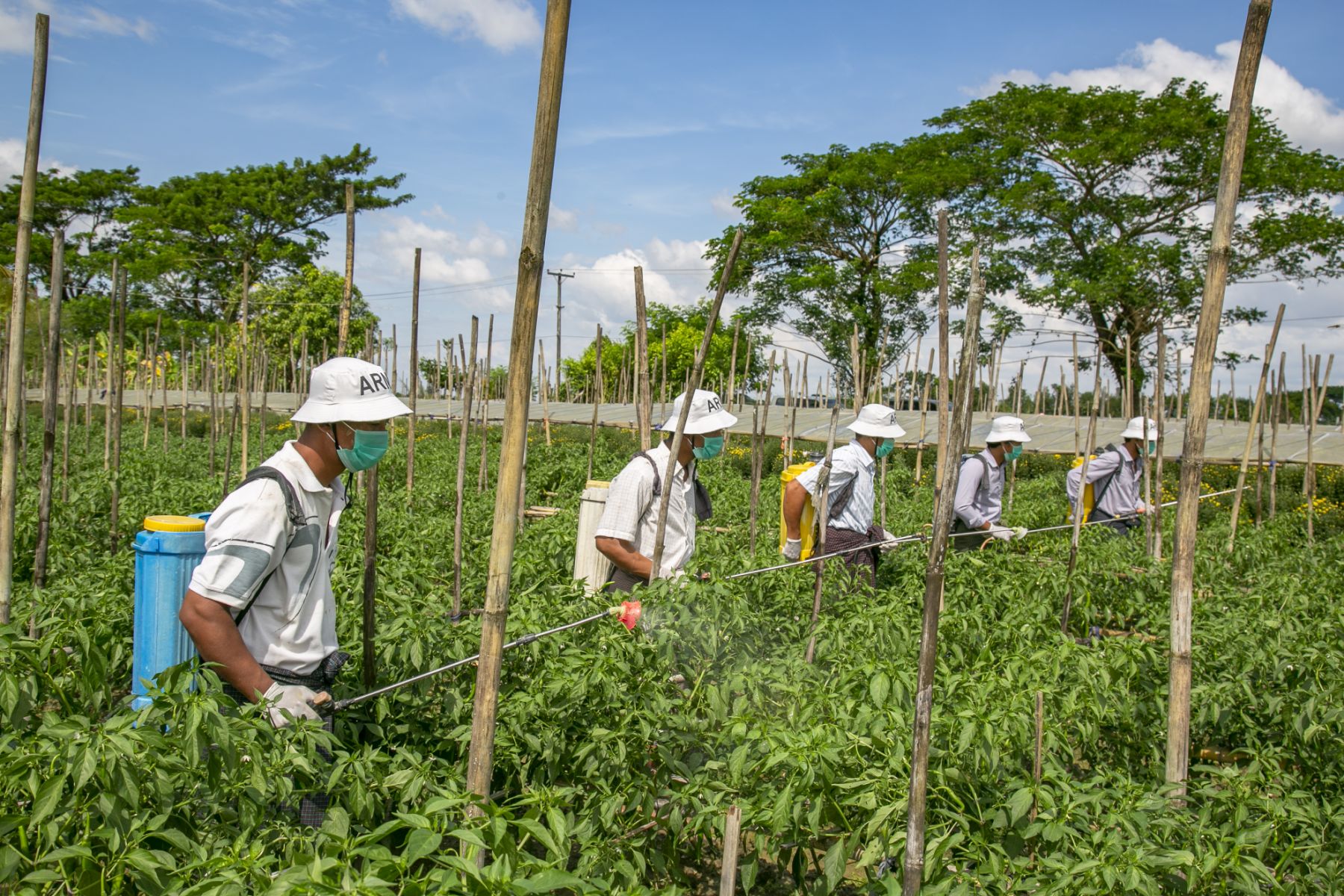 viber_image_2022-03-29_10-32-11-469