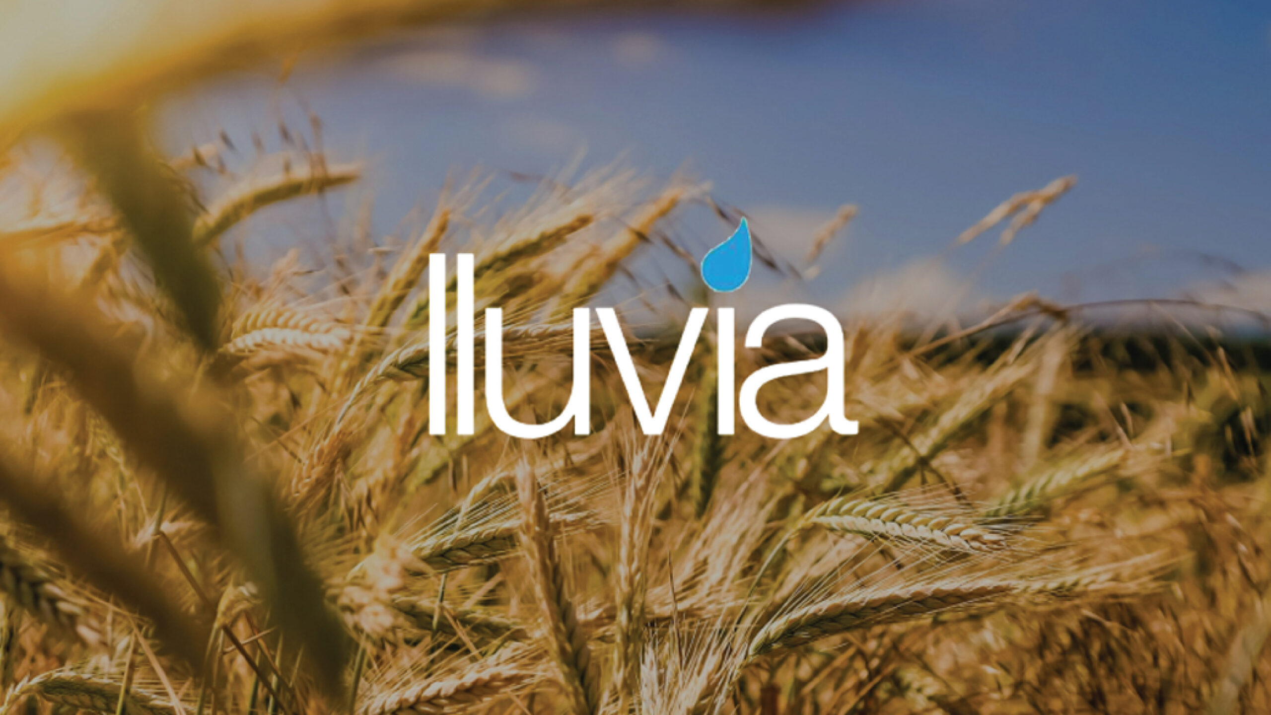 Food Cluster Overview