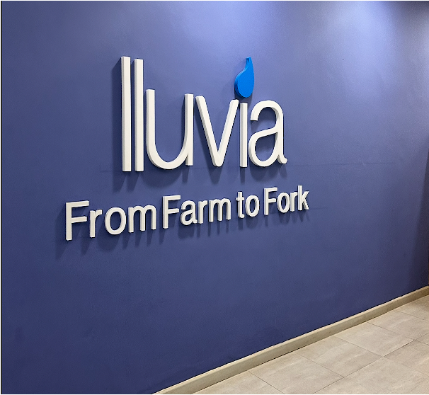 Food Cluster Overview