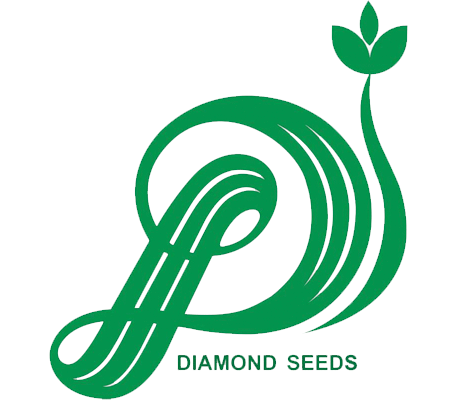diamond-seeds