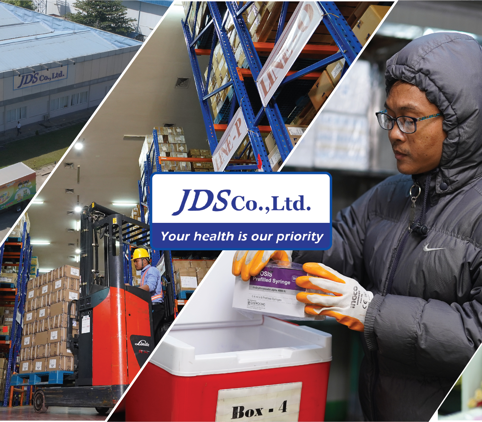 J D S Co., Ltd. (JDS)