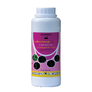 Hat-Trick (2-4-D)-01