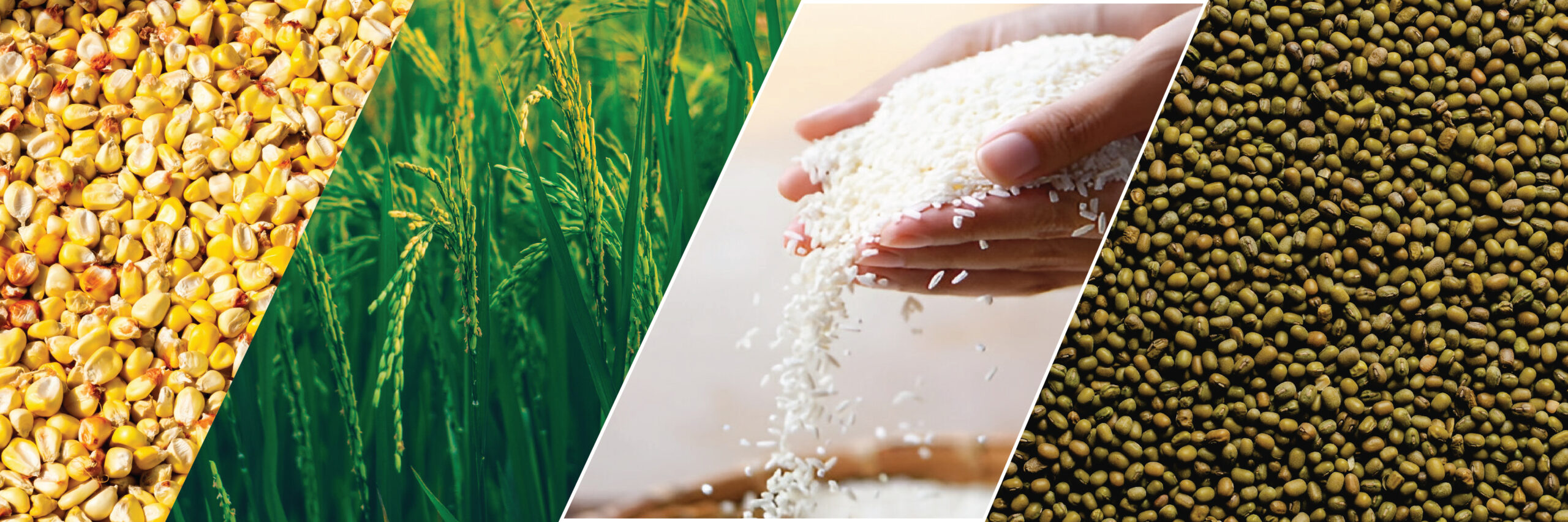 Agri Commodities Trading