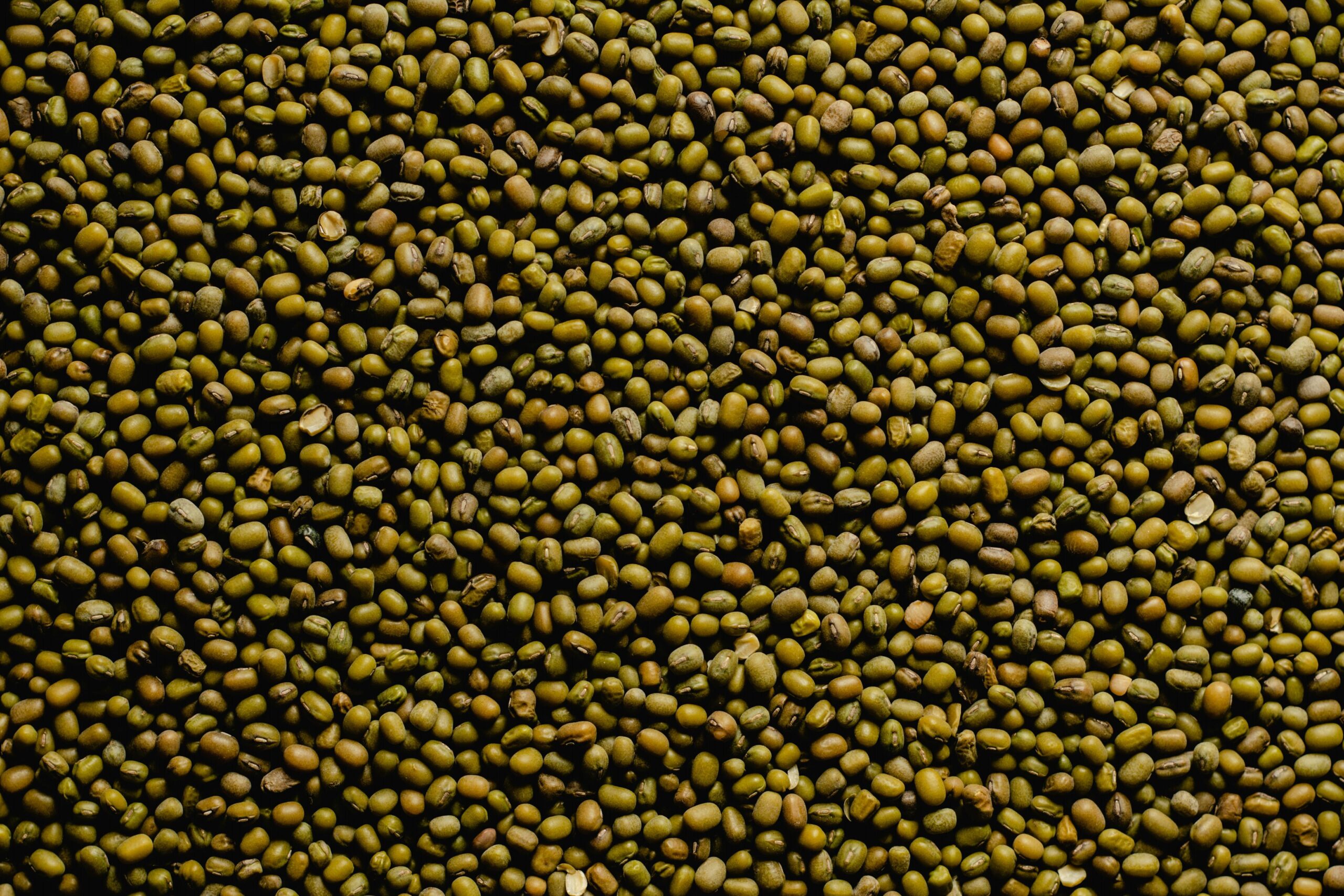 Green Mung Beans 2